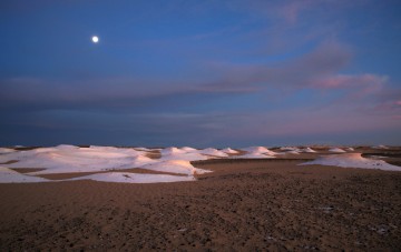 Fayoum Oasis