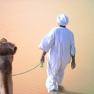 05 days camel safari