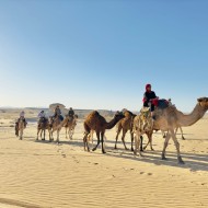 Camel ride 10 days