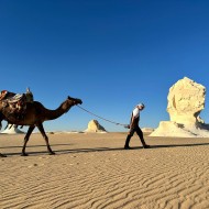 Camel ride 10 days