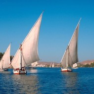 Felucca Odyssey