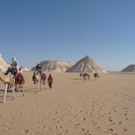 one week camel trip