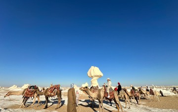 05 days camel safari