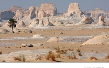 Badawiya Expedition white desert tour