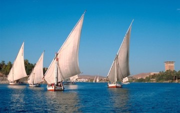 Felucca Odyssey & Red Sea