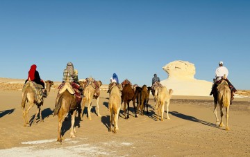 one week camel trip