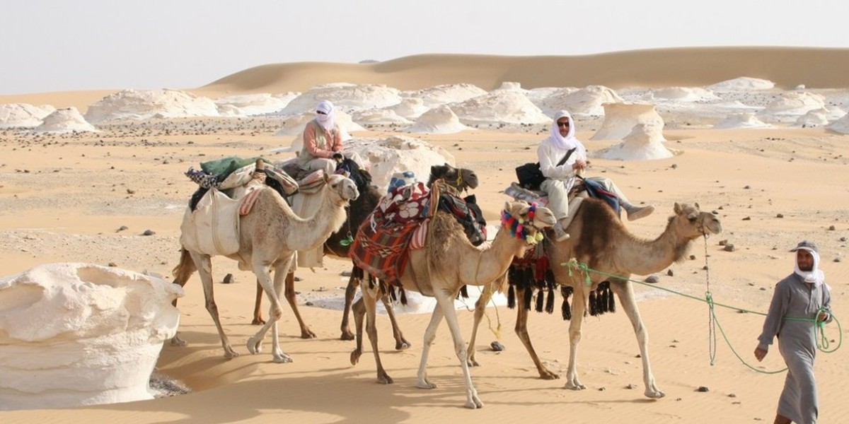 Camel Ride at the White desert